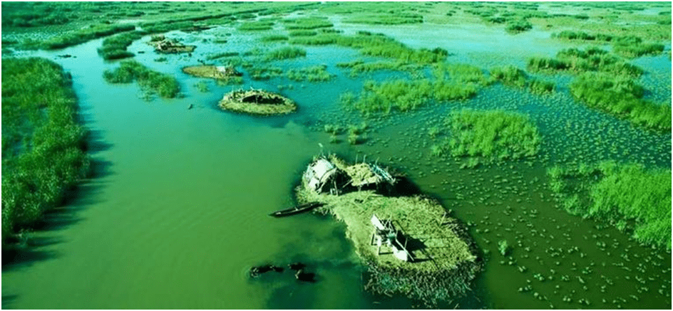 Urbanism: Urban Change and Landscape Architecture Transformation. image shows the natural landscape of marshes in Iraq after recovery.