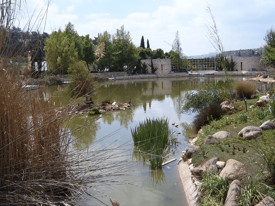 Urbanism: Urban Design, Architecture & Public Space Quality. Jerusalem Botanical Gardens