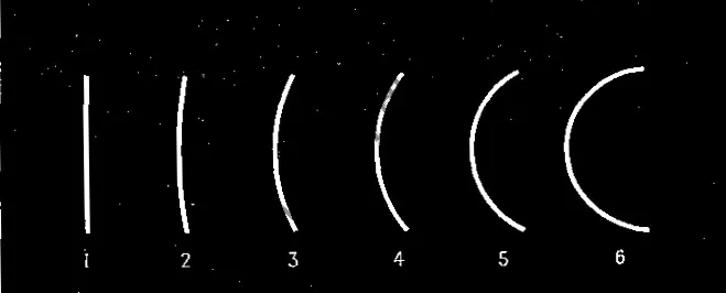 Architecture and Art: Elements of Design-1. the types of lines and the relationship between the lines